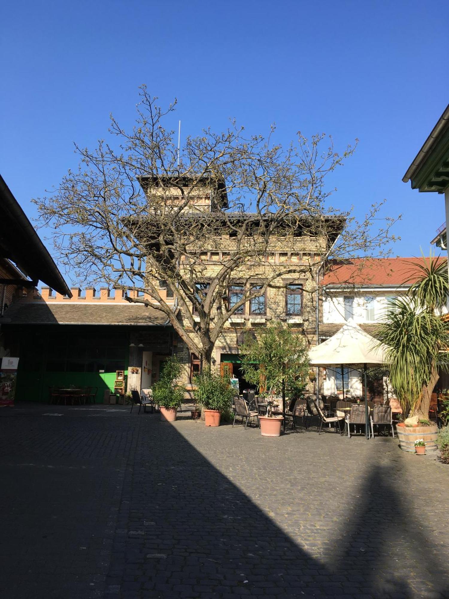 Gaestehaus Guntersblum Esterno foto