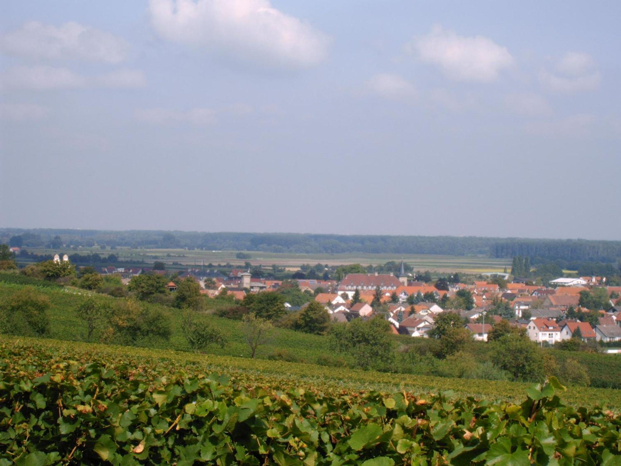 Gaestehaus Guntersblum Esterno foto