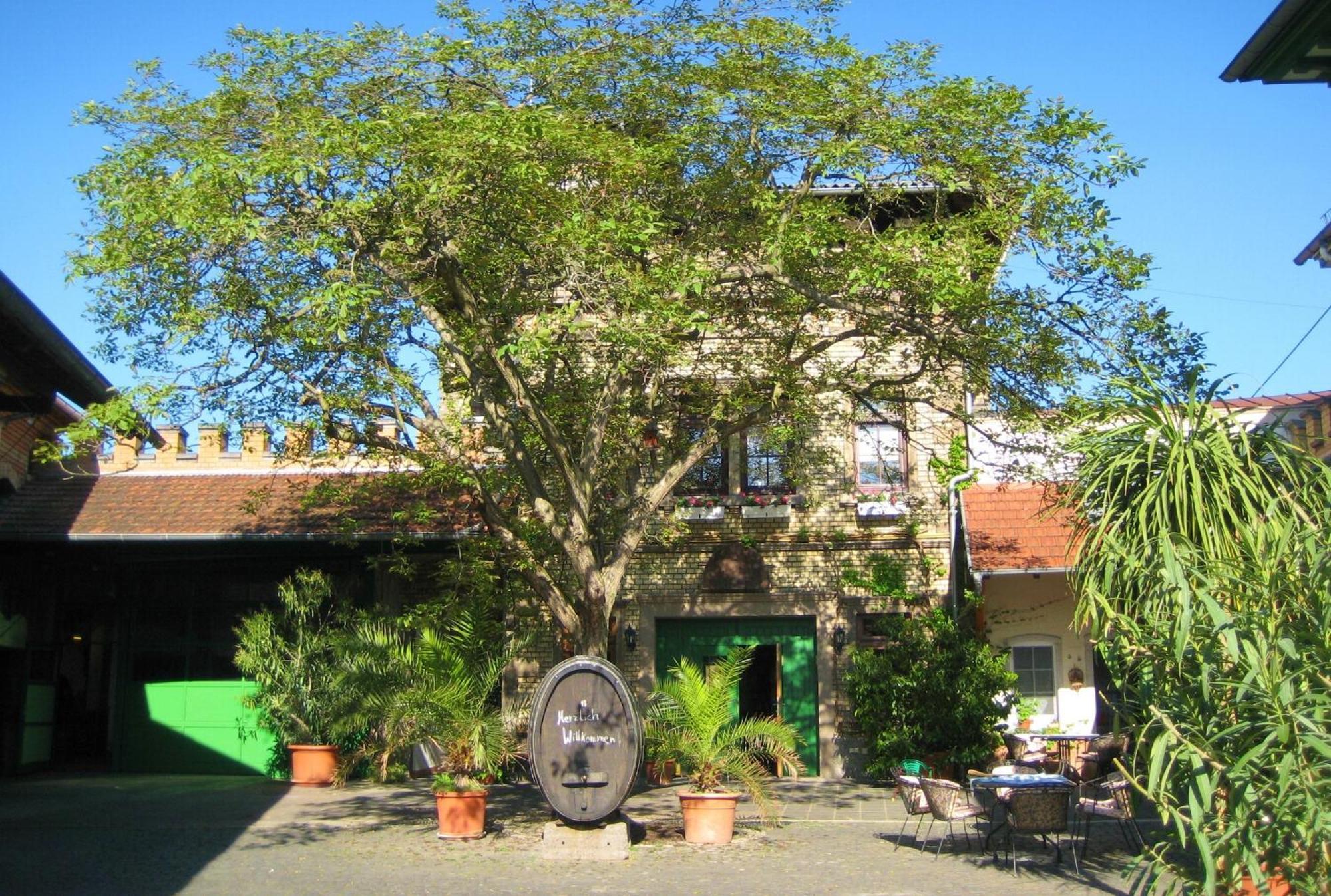 Gaestehaus Guntersblum Esterno foto